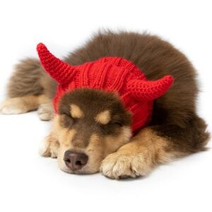 Zoo Snoods Dog Cat Head Warmer Size Small
